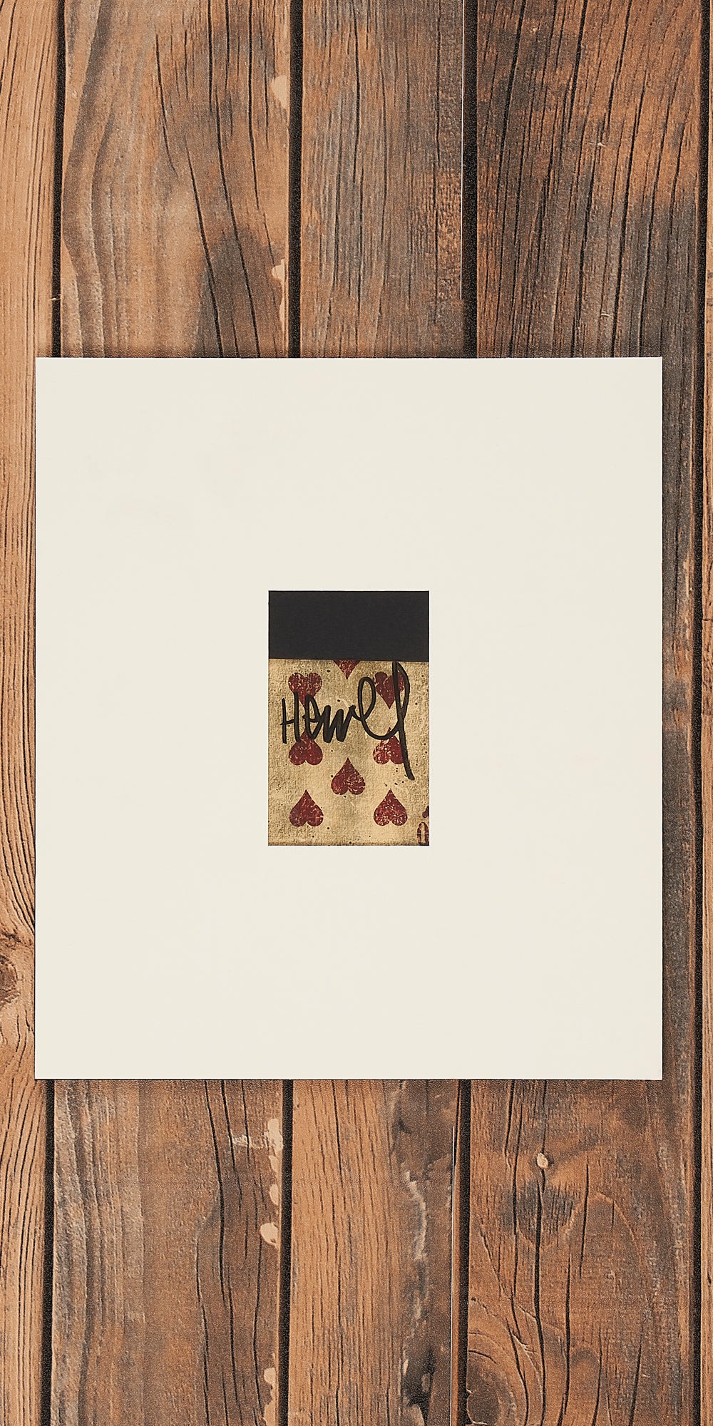 Portfolio Box