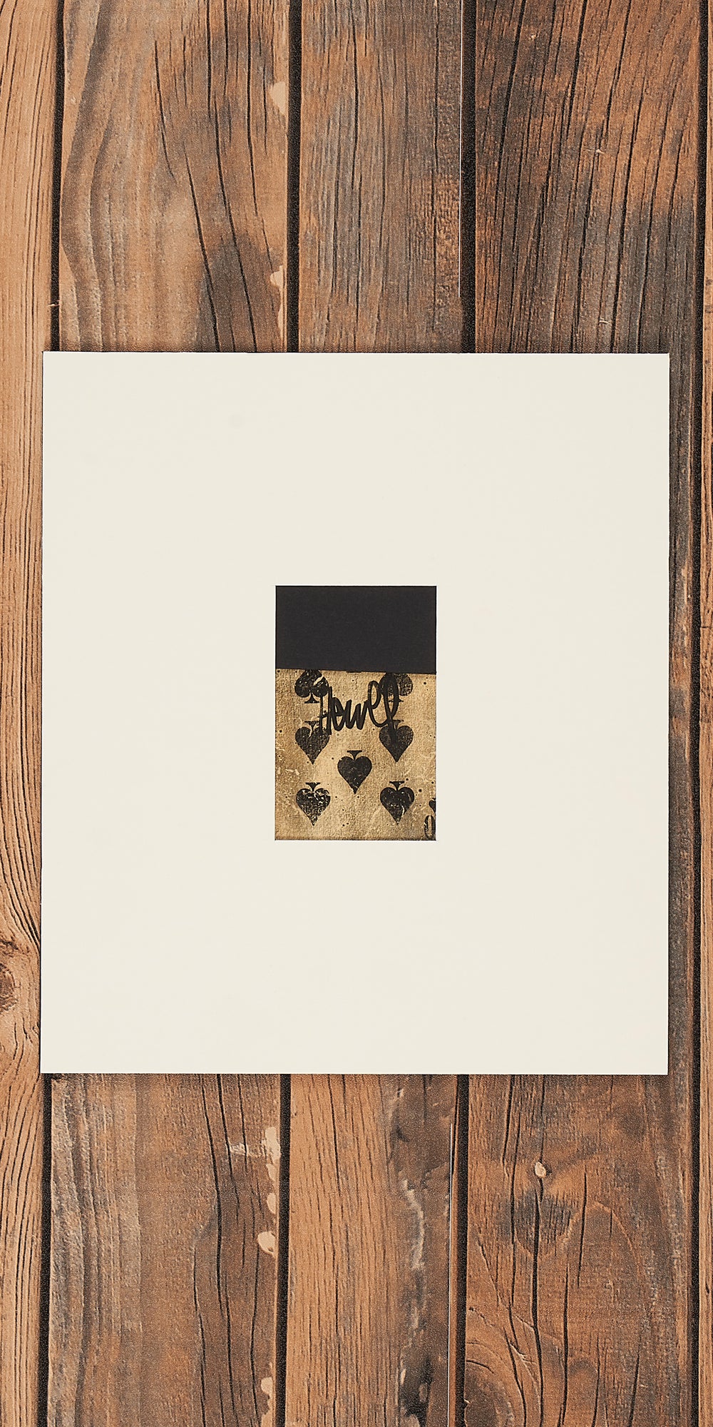 Portfolio Box