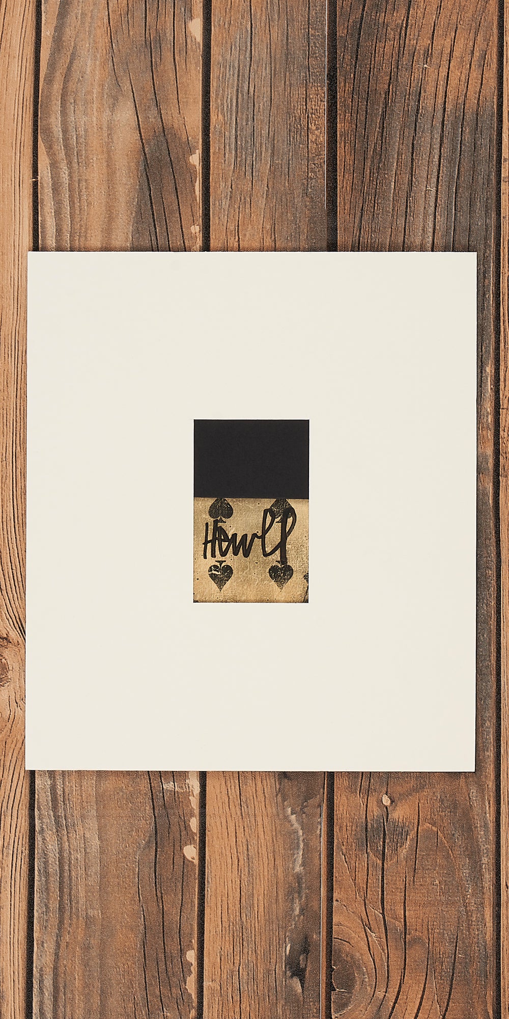 Portfolio Box